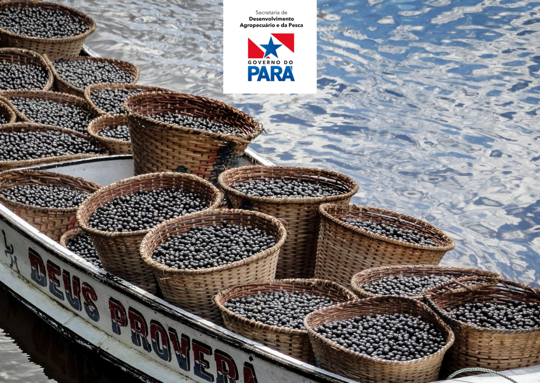 Programa Estadual de Qualidade do Açaí (PEQA)