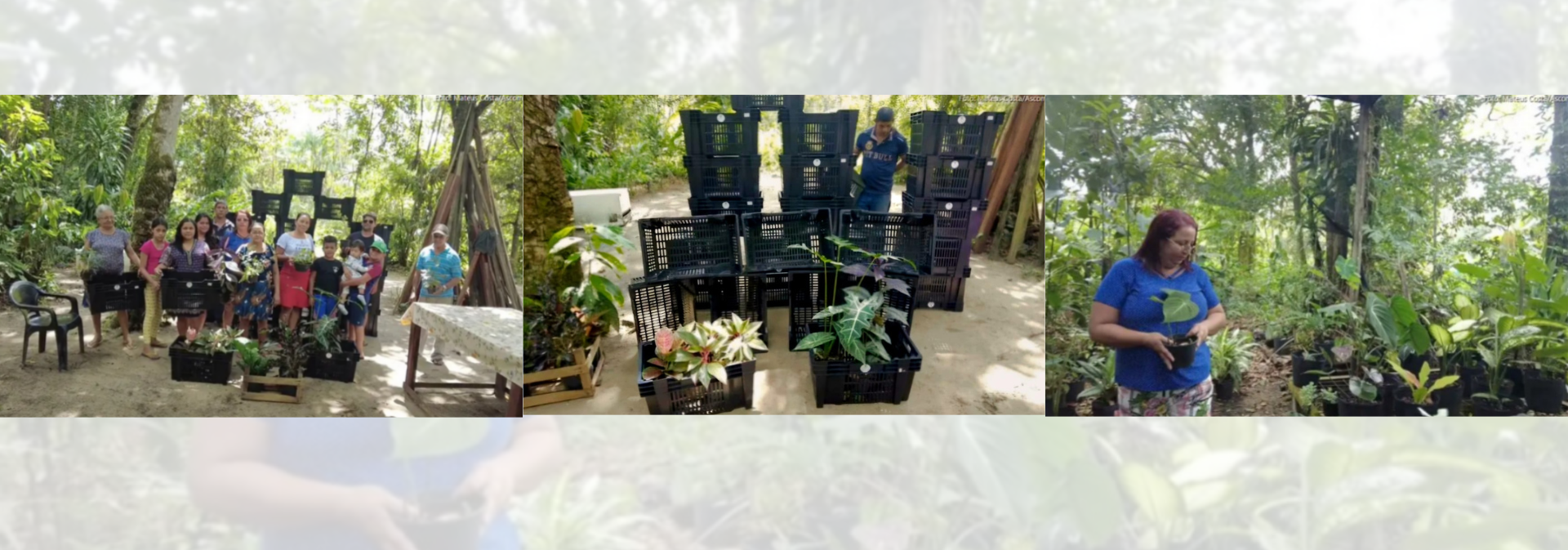 Sedap incentiva produção e repassa basquetas a agricultores familiares de Santa Bárbara