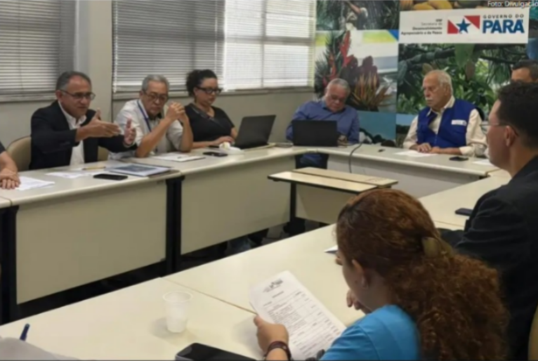 Aquisição pela Sedap de 50 mil mudas de bananeiras 