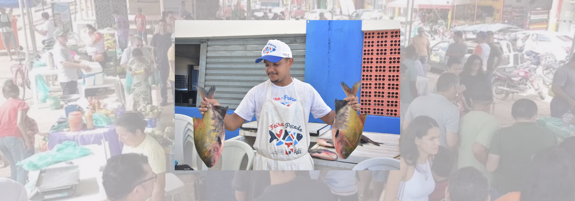Feira do pescado 2026