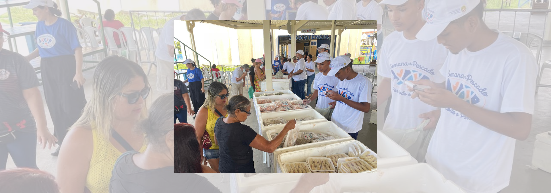 Feira do pescado 2026