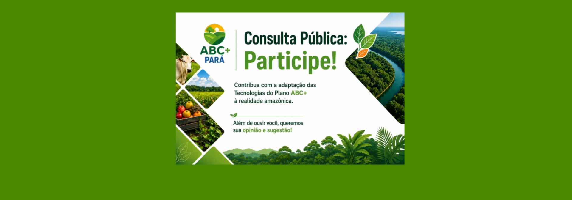 Consulta Pública