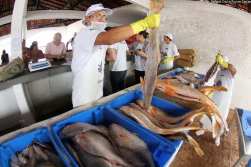 Feira do pescado 2026