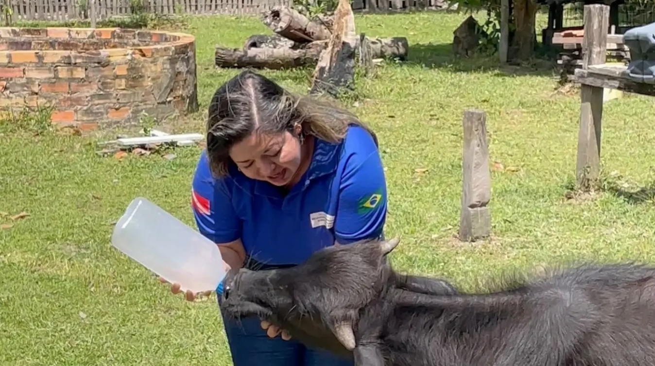 Foto: Mateus Costa / Ascom Sedap