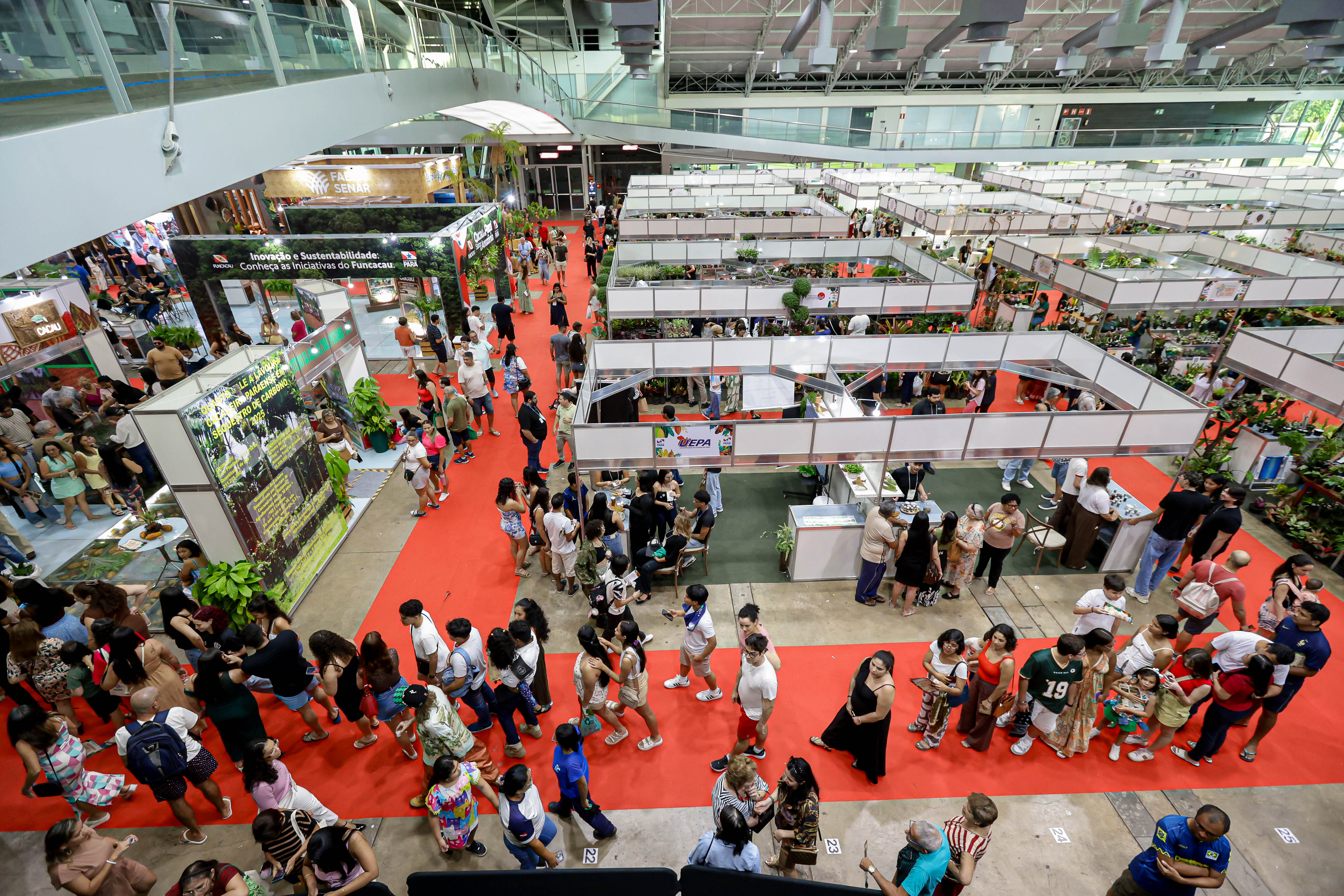 Foto: Pedro Guerreiro/Ag Pará