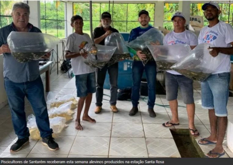 Foto: Mateus Costa / Ascom Sedap