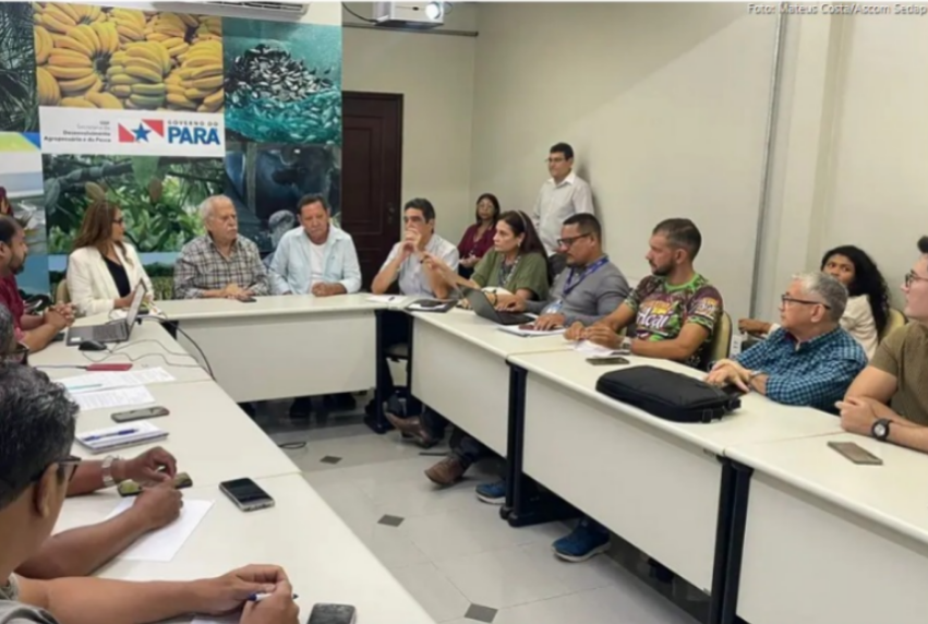 Foto: Mateus Costa / Ascom Sedap