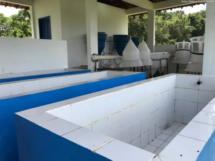 Foto: Mateus Costa / Ascom Sedap