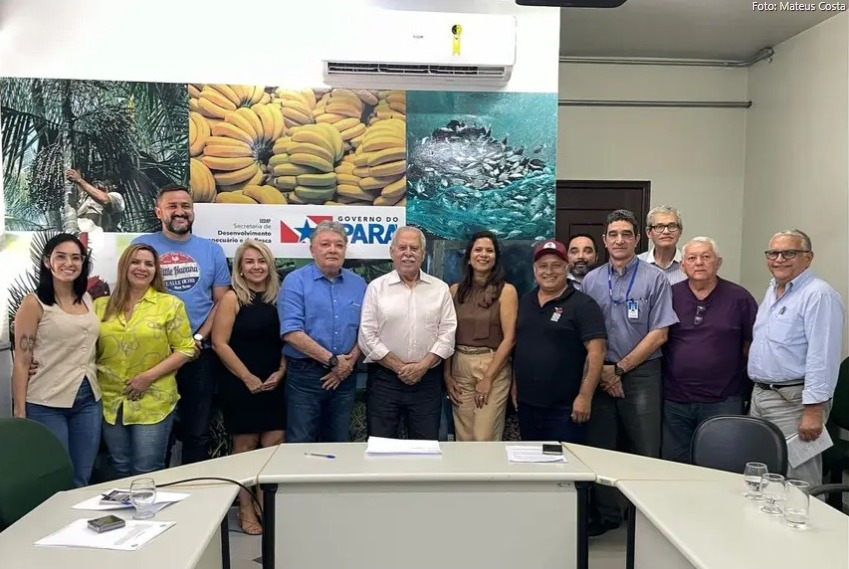 Foto: Mateus Costa / Ascom Sedap