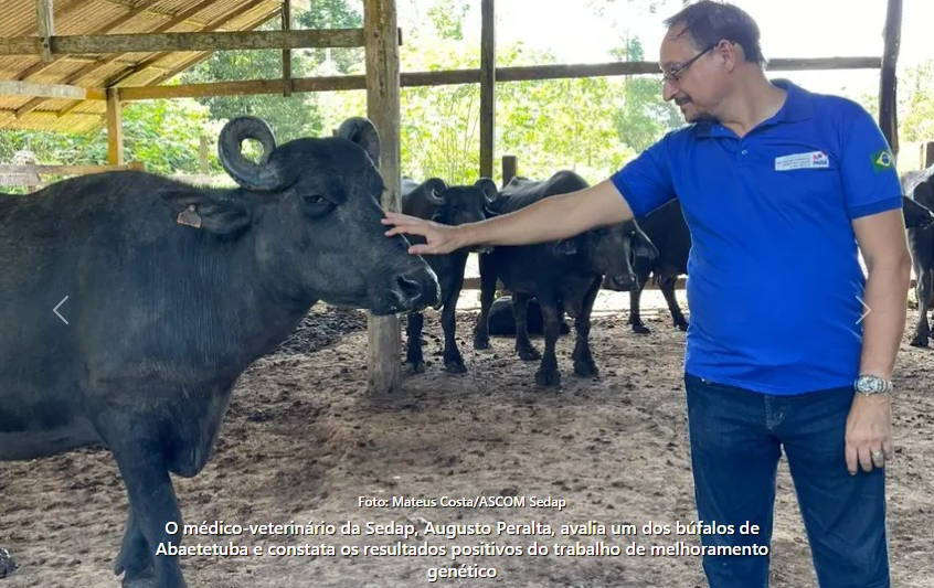 Foto: Mateus Costa / Ascom Sedap