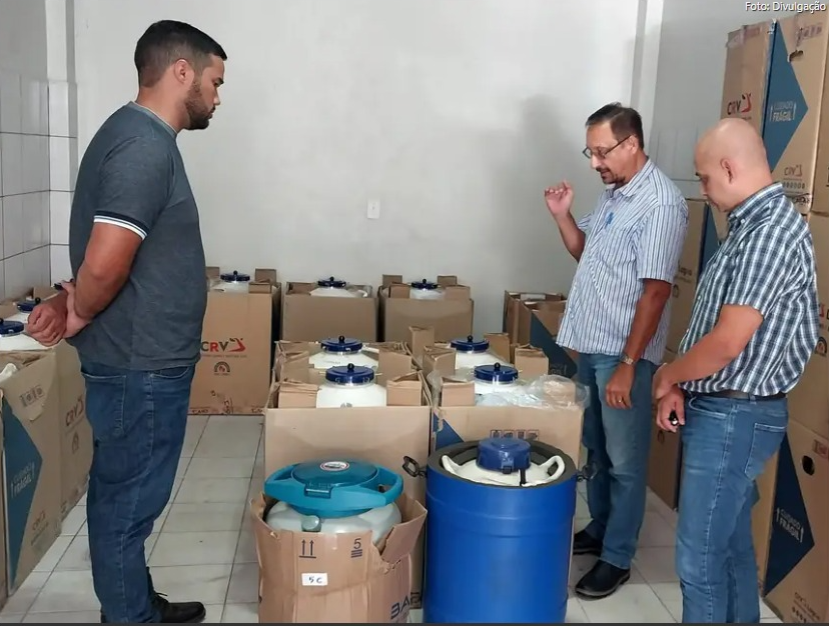 mateus costa / ascom sedap