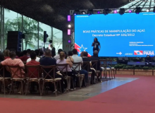 Festival Açaí Pará 2025