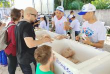 Feira do Pescado nas Usinas da Paz de Belém e Ananindeua garante pescado mais barato