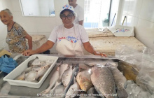 Feira do pescado