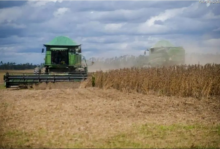 Calendário agrícola divulgado pelo IBGE reafirma a força das cadeias tradicionais e também a expansão dos grãos no Pará