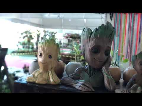 Embedded thumbnail for 7° Festival do Chocolat Amazônia e Flor Pará 2022 Parte 1