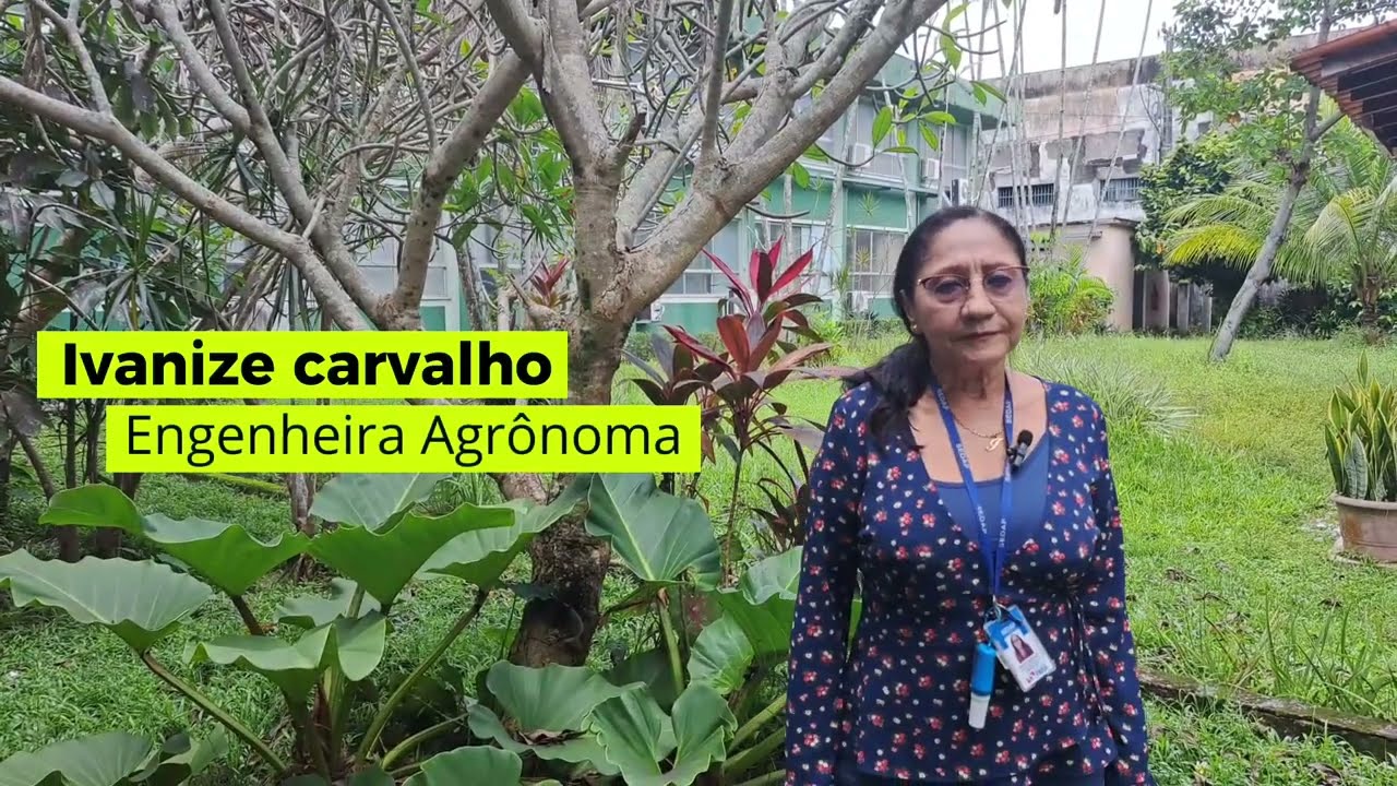 Embedded thumbnail for Dia 24 de Abril - Dia Internacional do Milho